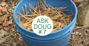 Image of bucket with straw in it